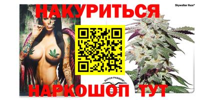 сатива Краснодар