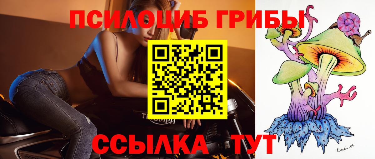 Псилоцибиновые грибы MAGIC MUSHROOMS Балтийск