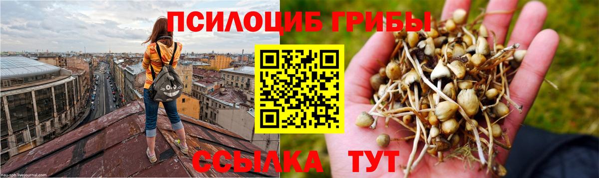 Галлюциногенные грибы Psilocybe  Псилоцибиновые грибы ЛСД  Балтийск  Вход с VPN 